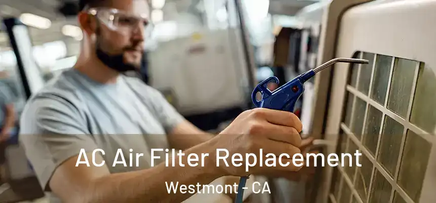 AC Air Filter Replacement Westmont - CA
