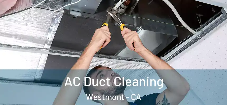  AC Duct Cleaning Westmont - CA