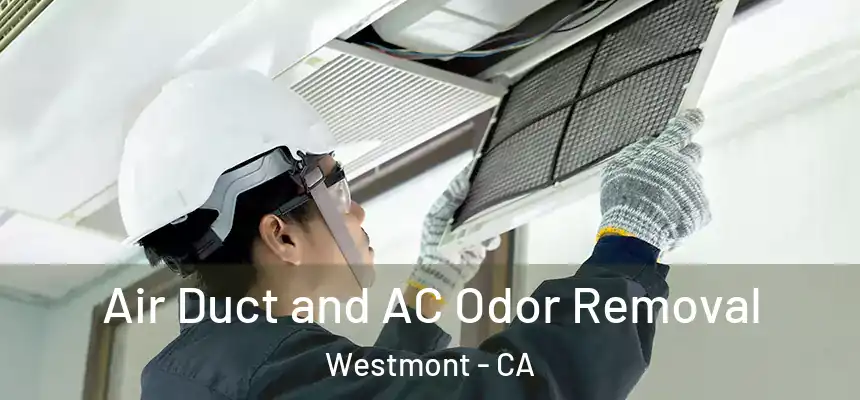 Air Duct and AC Odor Removal Westmont - CA