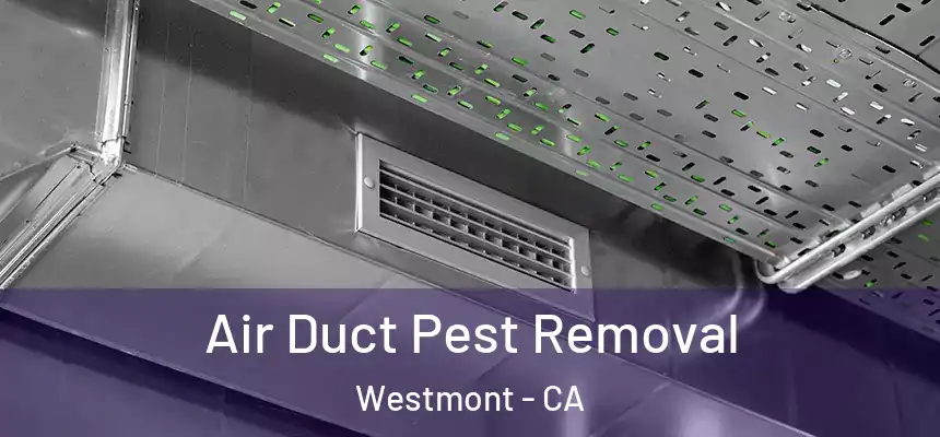  Air Duct Pest Removal Westmont - CA