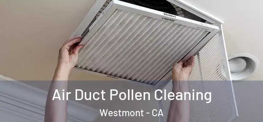 Air Duct Pollen Cleaning Westmont - CA