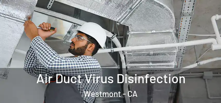 Air Duct Virus Disinfection Westmont - CA