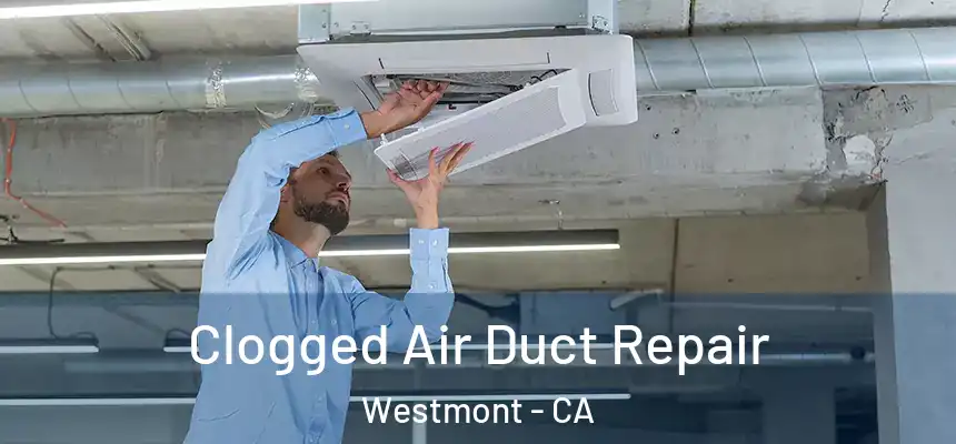 Clogged Air Duct Repair Westmont - CA