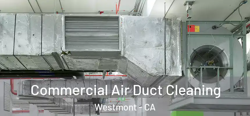 Commercial Air Duct Cleaning Westmont - CA