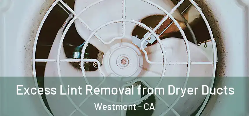  Excess Lint Removal from Dryer Ducts Westmont - CA