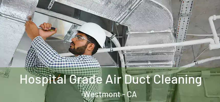 Hospital Grade Air Duct Cleaning Westmont - CA