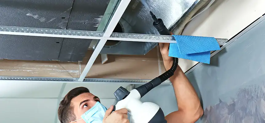 Our Air Duct Rodent Removal Services in Westmont, CA