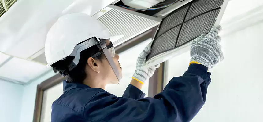 Our Mold & Mildew Removal from Air Ducts Services in Westmont, CA