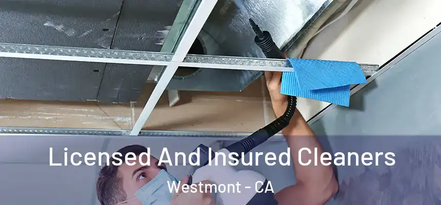 Licensed And Insured Cleaners Westmont - CA