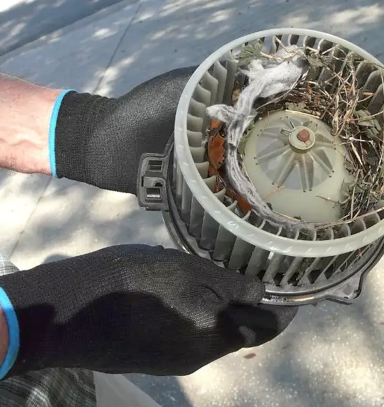 About Air Duct Mice Removal in Westmont, CA