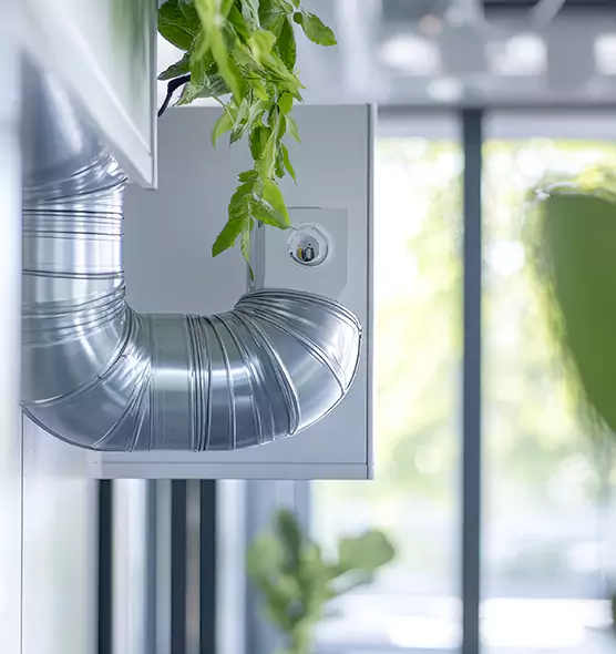 Professional Eco-Safe Dryer Vent Cleaning in Westmont, CA