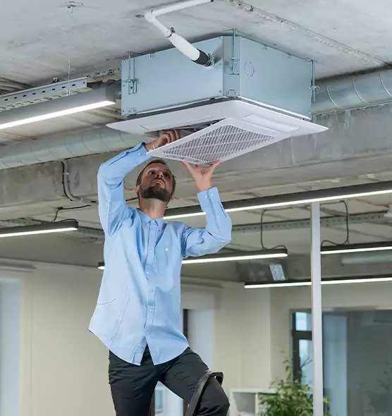 Advanced Rodent Droppings In Vents in Westmont, CA