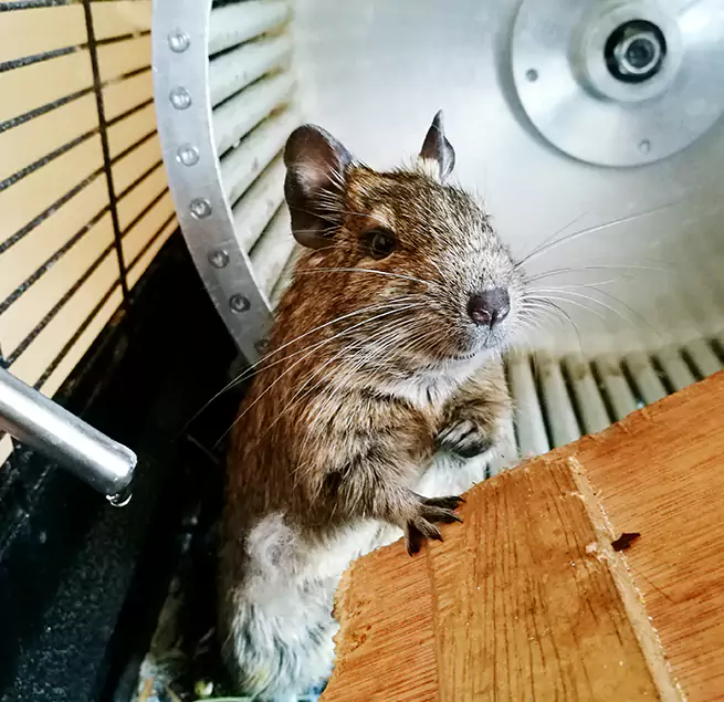 Why Homeowners & Businesses Trust Us Westmont, CA