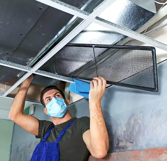 Why Homeowners Businesses Trust Us in Westmont, CA